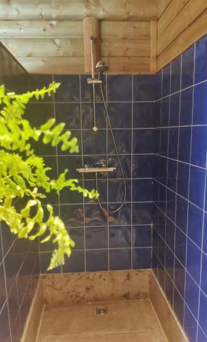 B&B Aquavert & Wellness - image 5