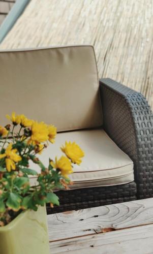 B&B Aquavert & Wellness - image 6