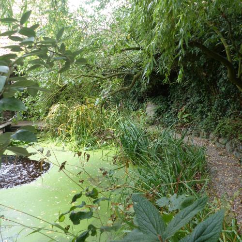 B&B Aquavert & Wellness - main image