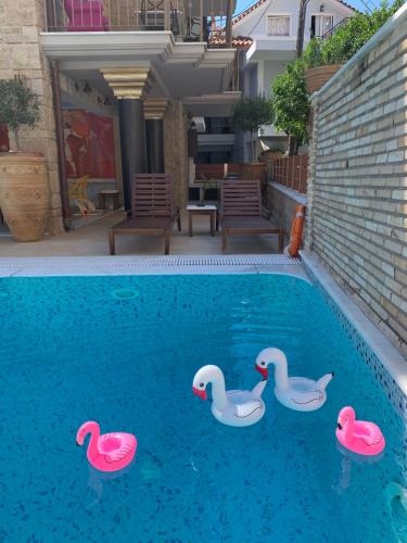 Leda Suites, Parga (fotografie 4)