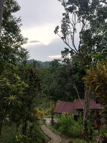 クアラタハン Durian Chalet 3つ星 ゲストハウス 眺望