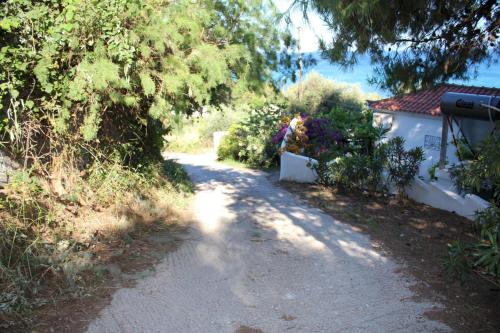 Rigotis 1
