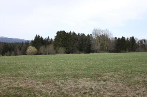 Gästehaus Schreiner - image 6