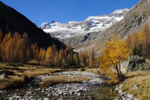 Veronika Appartements St. Jakob i. Defereggental