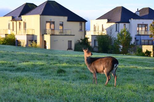 Waterford Castle Hotel Golf Club