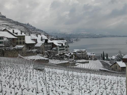 La Gremillette Gourmande Lavaux