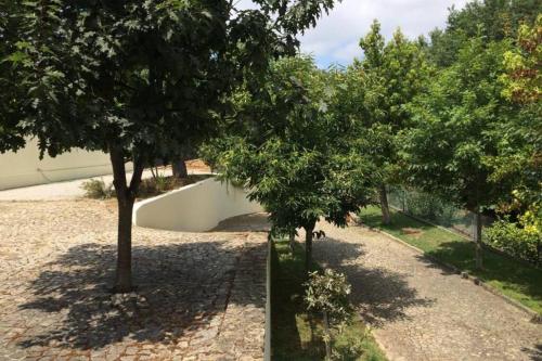 Casa de Madeira Casa de Madeira