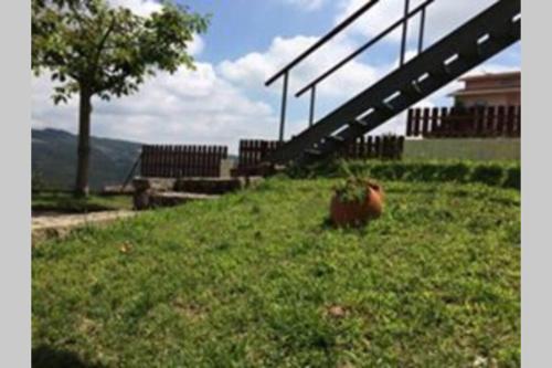 Casa de Madeira Casa de Madeira