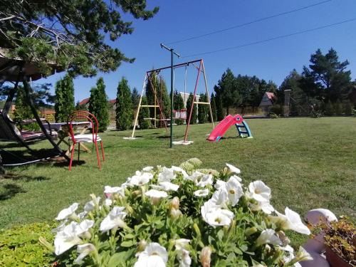 Apartment Relja - main image