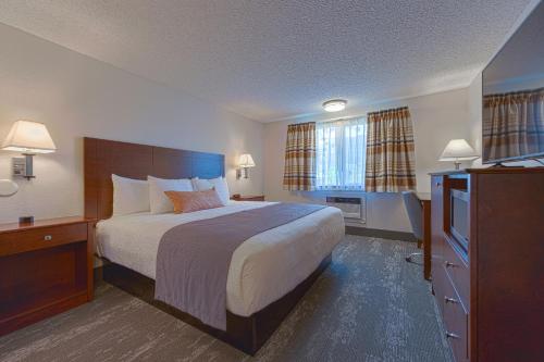 1 king bed