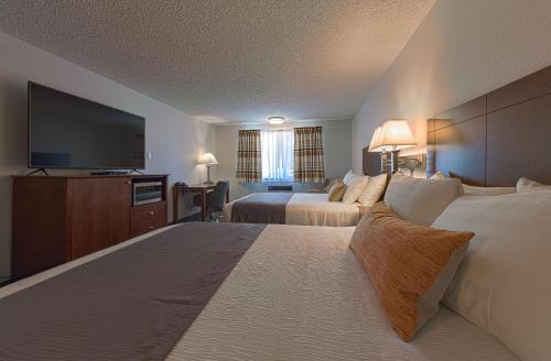 2 queen beds