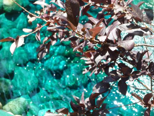 Ruidoso River Resort Condos Ruidoso River Resort Condos