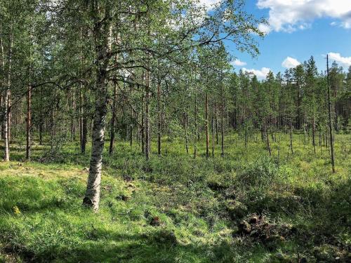 Viesnīcas āriene, Vintage Forest Retreat-By Traum in Rorbacksnas