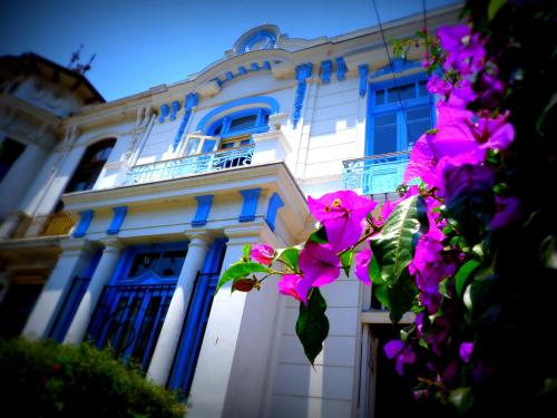 Blanca Rosa Valparaiso B&B - La Retuca
