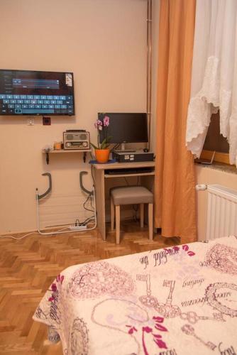 Apartments with WiFi Daruvar, Bjelovarska - 17093