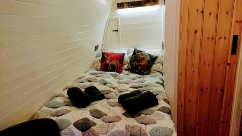 Owl Hut Cosy Ensuite Pod Snowdonia Coast Sleeps 2 in Arthog