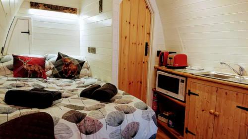 Owl Hut Cosy Ensuite Pod Snowdonia Coast Sleeps 2 in Arthog