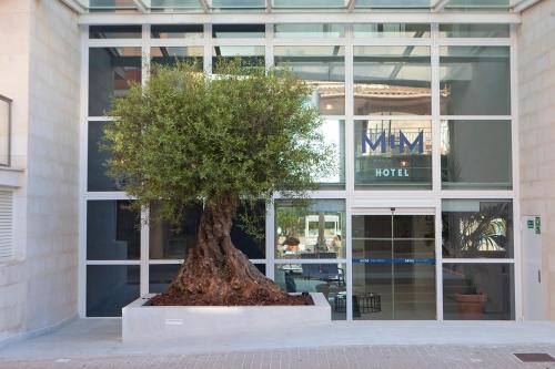 Hotel MiM Mallorca & Spa - Adults Only