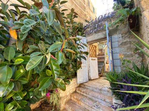 Facilities, Antique guest house in Nazareth