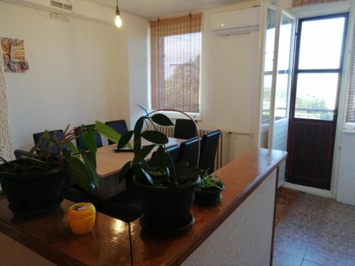 บริการและสิ่งอำนวยความสะดวก, Apartman KIKA in ซอมบอร์