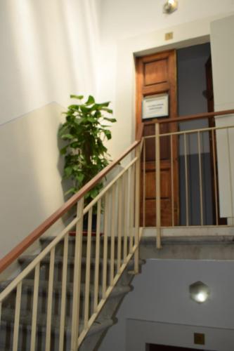 Golden Dream Guest House, Florence (photo 6)