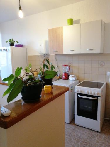 ห้องครัว, Apartman KIKA in ซอมบอร์
