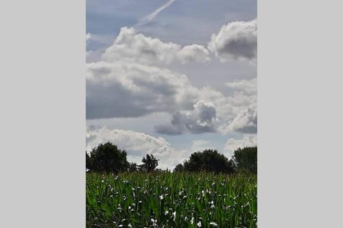 Brabants Genoegen Heeswijk Dinther