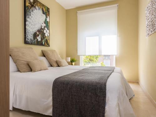 Misterhost san bernardo - image 6