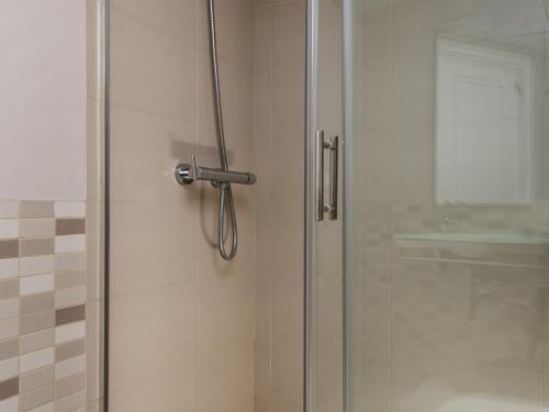 Misterhost san bernardo - image 10