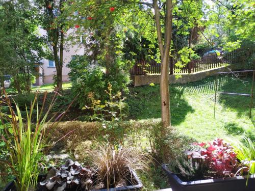 Apartament Skrytka