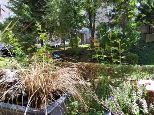 Apartament Skrytka