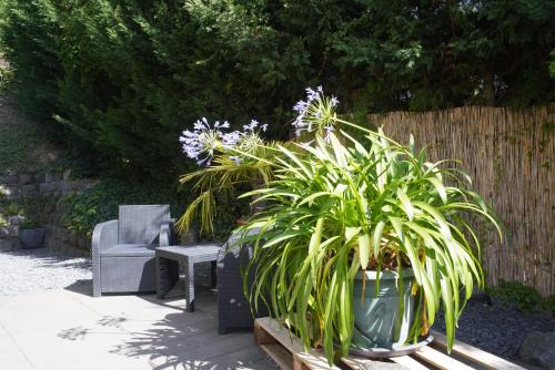 Ferienwohnung Ahrtalblick - image 6