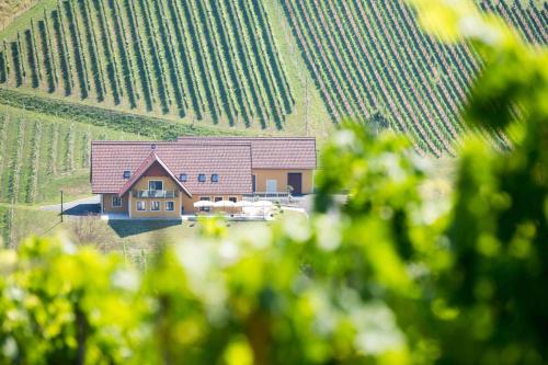 Weingut-Gästezimmer UHL - image 6