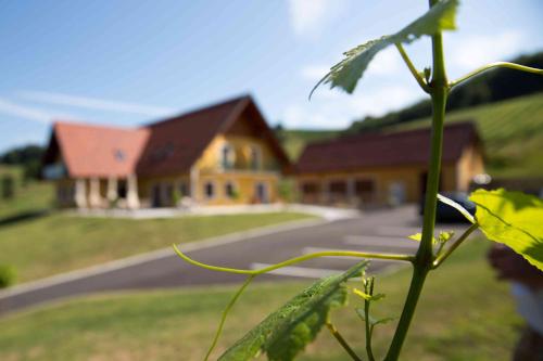 Weingut-Gästezimmer UHL - image 10