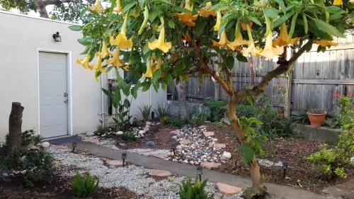 Remodeled Cottage in Berkeley/Oakland Rockridge, Oakland