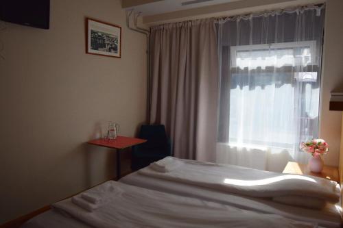 Arkadia Hotel & Hostel & Ravintola - image 8