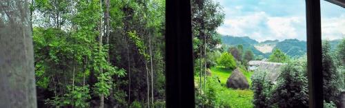Balkons/terase, Agropensiunea Tarina in Rosia Montana
