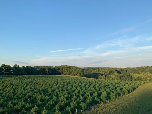 Tentrr Signature - Historic Hudson Valley Riverside Hemp Farm - main image