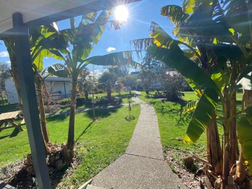 White Elephant Accomodation White Elephant Backpackers is perfectly located for both business and leisure guests in Motueka. The hotel has everything you need for a comfortable stay. Facilities like luggage storage, Wi-Fi in pub