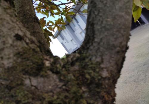  Albergo Aurora in Castenaso