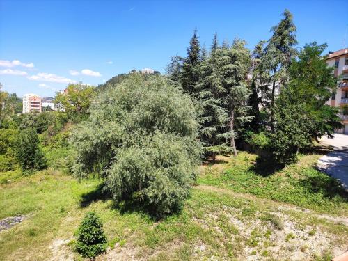 Villa Center appartamenti nel verde in città 4