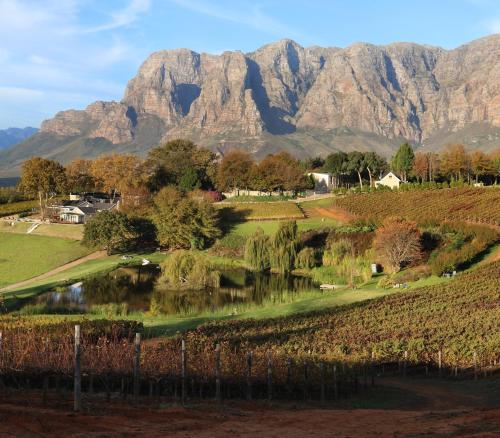 Alluvia Boutique Winery & Luxury Accommodation, Cape Winelands