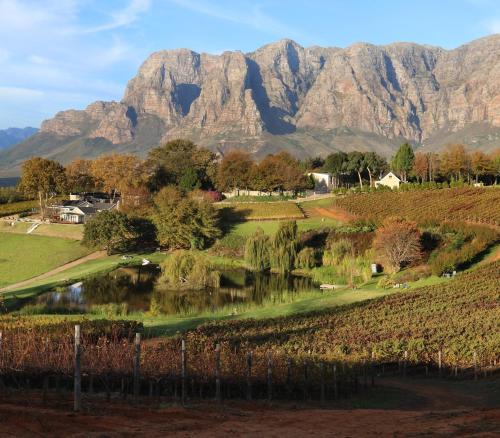 Alluvia Boutique Winery & Luxury Accommodation Stellenbosch