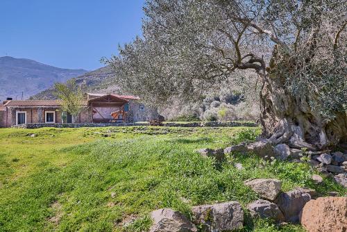 Authentic Cottage in a heaven of natural Beauty