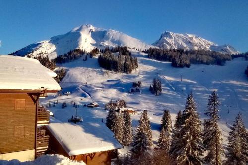 La Belle Etoile - Location saisonnière - Manigod