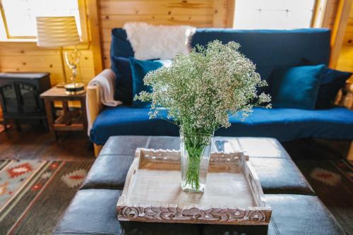 Paradise Valley Cabin by Chico and Yellowstone Park! in Livingston, USA