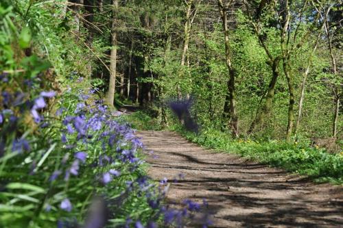 Parkanore Glenariffe Waterfoot