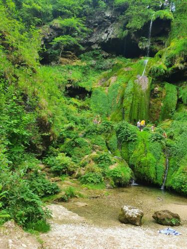 Les jardins d'armance