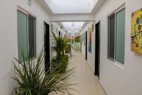 View, Gayser Apartamentos in Centro