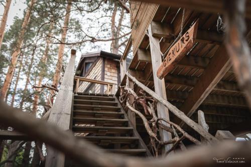 Treehouse Čiekurs